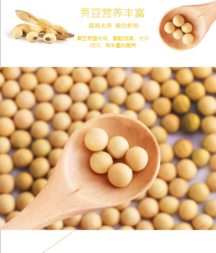 黃豆詳情頁_03.jpg
