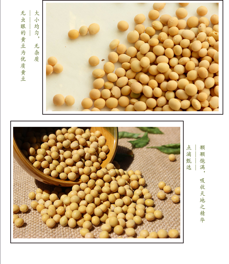 黃豆詳情頁_05.jpg