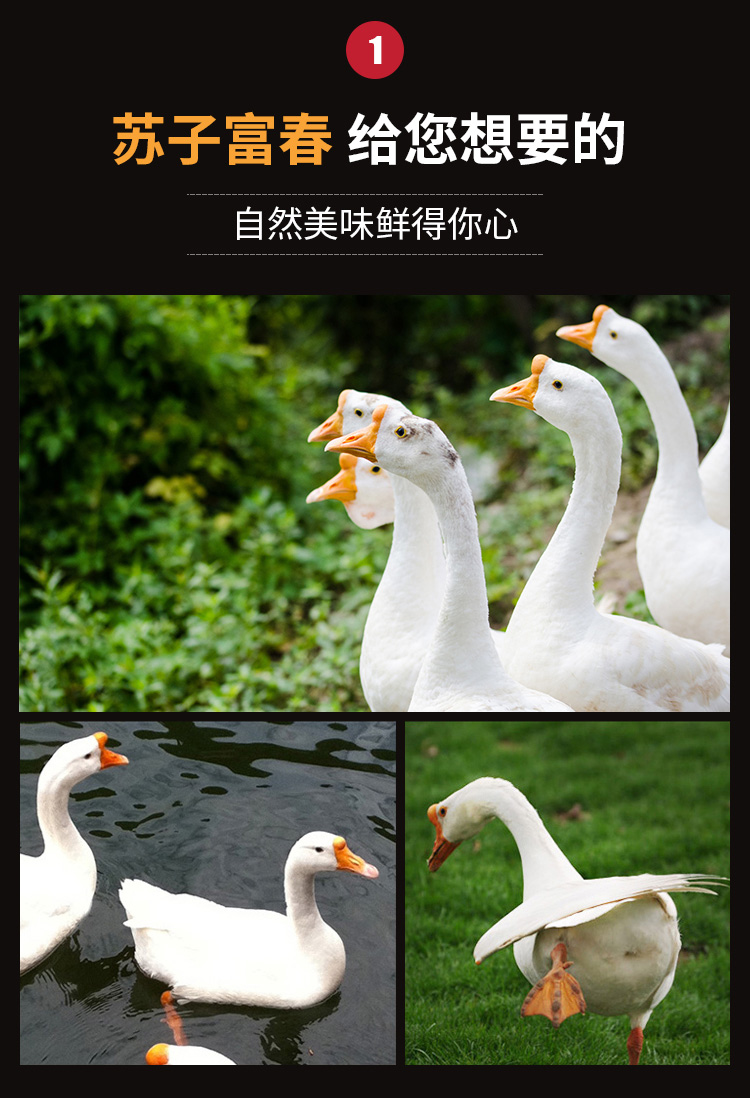 微信圖片_20201030122137_03.jpg